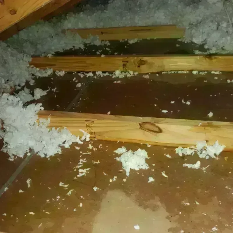 Attic Water Damage in North Decatur, GA