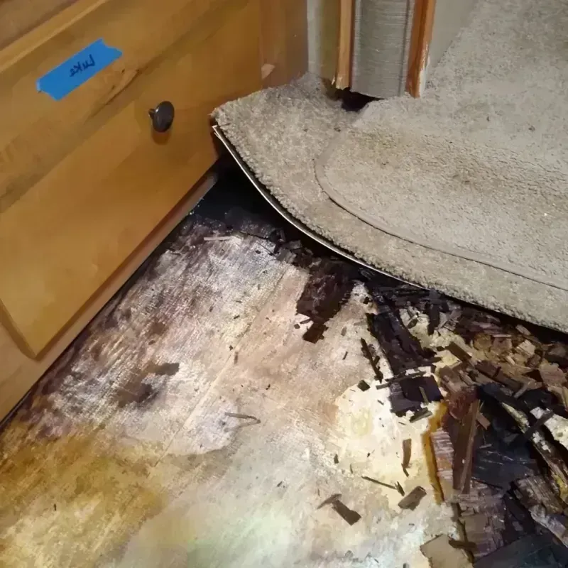 Best Wood Floor Water Damage Service in North Decatur, GA